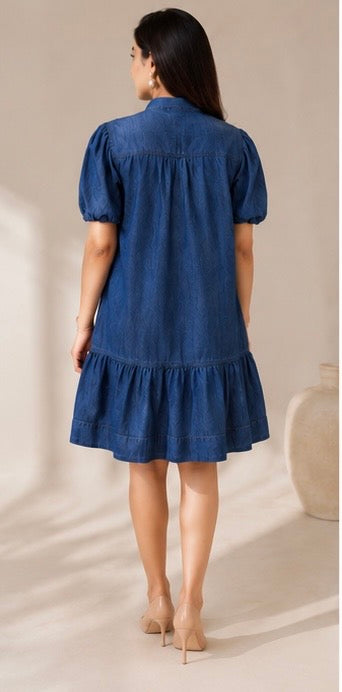 DENIM MUSE DRESS